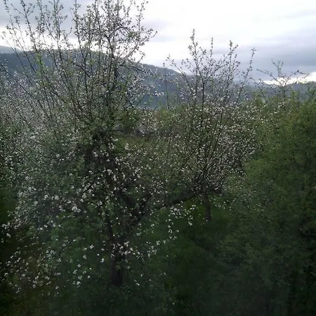 Tihiy Dvor Дом отдыха